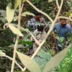 ഡിറ്റ് വാ ചുഴലിക്കാറ്റ്; നാളെ വൈകിട്ടോടെ ന്യൂനമര്‍ദ്ദമായി മാറും; തമിഴ്‌നാട്ടില്‍ മൂന്ന് മരണം