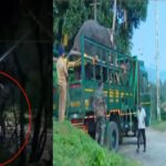 ഉലകനായകൻ കമൽ ഹാസന് ഇന്ന് പിറന്നാൾ