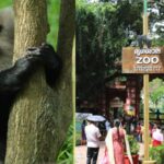 തിരുവനന്തപുരം കോർപ്പറേഷൻ കെട്ടിടങ്ങൾ വാടകയ്ക്ക് നൽകിയതിൽ ക്രമക്കേട്; വിജിലൻസിന് പരാതി