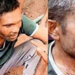 നടിയെ ആക്രമിച്ച കേസ്; വിചാരണാകോടതി വിധിക്കെതിരെ അപ്പീൽ നൽകാൻ സർക്കാർ ഉത്തരവായി