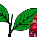 ലൈംഗിക പീഡനക്കേസ്; രാഹുൽ മാങ്കൂട്ടത്തിലുമായി തിരുവല്ലയിലെ ഹോട്ടലിൽ തെളിവെടുപ്പ്