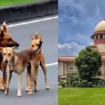 കൊട്ടാരക്കര മുന്‍ എം എല്‍ എയും സി പി ഐ എമ്മിന്റെ പ്രമുഖ വനിതാ നേതാവുമായ ഐഷ പോറ്റി കോൺഗ്രസിൽ