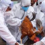 പത്രിക സമര്‍പ്പണത്തിന് ഇനി ഒരു ദിനം മാത്രം; പ്രചാരണം സജീവമാക്കാൻ സ്ഥാനാര്‍ഥികള്‍