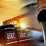 എരുമപ്പെട്ടിയിൽ വയോധികയെ കടിച്ചു കൊന്ന നായയെ പിടികൂടി