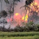 പലപ്പോഴും ഏകപക്ഷീയമായ തീരുമാനം എടുക്കുന്നു; ഫാത്തിമ തഹ്ലിയക്കെതിരെ യുഡിഎഫിൽ അതൃപ്തി