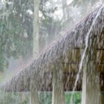 3 മണിക്കൂർ പോരാട്ടമല്ല, ഇനി വലിയ ഉത്തരവാദിത്വം; മുഖ്യമന്ത്രി വിജയ്‌യെ അഭിനന്ദിച്ച് മലേഷ്യൻ പ്രധാനമന്ത്രി