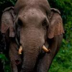 ഇറാനെതിരെ തിരിച്ചടിച്ച് ഇസ്രയേല്‍; ടെഹ്റാനില്‍ അടക്കം ആക്രമണം; വിമാന സര്‍വീസുകള്‍ താത്ക്കാലികമായി നിര്‍ത്തിവെച്ചു