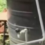 കോഴിക്കോട് മെഡിക്കല്‍ കോളജില്‍ ചികിത്സ പിഴവില്‍ രോഗിമരിച്ചെന്ന ആരോപണം; അന്വേഷണത്തിന് മൂന്നംഗ സമിതി