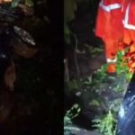 ‘പെണ്‍മക്കള്‍ എന്നല്ല മക്കള്‍ക്ക് പകര്‍ന്ന് നല്‍കണമെന്നാണ് പറഞ്ഞത്’; പാചകത്തെ കുറിച്ചുള്ള പ്രസംഗം സ്ത്രീവിരുദ്ധമെന്ന വിമര്‍ശനങ്ങള്‍ക്കിടെ വിശദീകരണവുമായി മുഖ്യമന്ത്രി