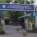 ഇടുക്കി കൊളുക്കുമലയില്‍ കൊക്കയിലേക്ക് വീണ യുവാവിനെ രക്ഷപ്പെടുത്തി
