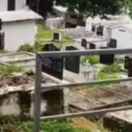 ‘നരേന്ദ്ര മോദിയുടെ പ്രതിച്ഛായക്ക് മങ്ങലേറ്റു’; സിജെപി പ്രതിഷേധം കൈകാര്യം ചെയ്യുന്നതിൽ വീഴ്ച പറ്റിയെന്ന് ബിജെപി