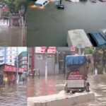 ഹരിത കര്‍മസേനയുടെ പ്ലാസ്റ്റിക് ശേഖരത്തില്‍ പെരുമ്പാമ്പിനെ ചാക്കില്‍ കെട്ടി ഉപേക്ഷിച്ച നിലയില്‍ കണ്ടെത്തി.