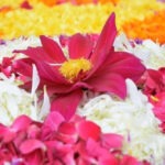 സ്വാതന്ത്ര്യദിനത്തിൽ വീട്ടിലിരുന്നവർ പാകിസ്ഥാനിലേക്ക് പോകണം”; തൃശൂരിൽ വിദ്യാർഥികളെ അധിക്ഷേപിച്ച് സ്കൂൾ ഉടമ