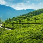 വിദ്യാര്‍ത്ഥികള്‍ക്കെതിരായ അധിക്ഷേപം;  കുറ്റം സമ്മതിച്ച് ടി ജി മോഹന്‍ദാസ്