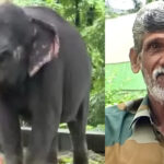 കൊച്ചിയിൽ അമേരിക്കൻ അംബാസിഡറുമായി കൂടിക്കാഴ്ച നടത്തി മുഖ്യമന്ത്രി വി ഡി സതീശൻ