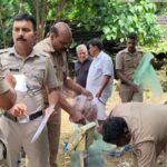കുന്ദമംഗലം നടുവിലശ്ശേരി എന്‍ റഷീദിന്റെ ഭാര്യ സക്കീന (60) നിര്യാതയായി.