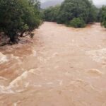 അഭിമന്യു വധക്കേസ്: നാല് മാസത്തിനകം വിചാരണ പൂർത്തിയാക്കി വിധി പറയണമെന്ന് ഹൈക്കോടതി