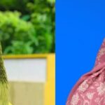 സംസ്ഥാന സ്കൂൾ കലോത്സവം എറണാകുളം ജില്ലയിൽ; ജനുവരി 4 മുതൽ 8 വരെ