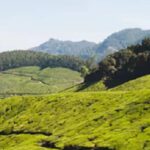 സംസ്ഥാനത്തെ ആരോഗ്യ മേഖല ഗുരുതര പ്രതിസന്ധിയിൽ; സർക്കാർ ആശുപത്രികളിൽ മരുന്ന് ക്ഷാമം രൂക്ഷമെന്ന് കെ കെ ശൈലജ