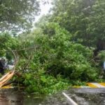 സംസ്ഥാന സ്‌കൂള്‍ കലോത്സവം: ലോഗോ ക്ഷണിച്ചു